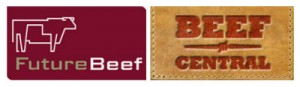 BeefConnect2logos 400x116