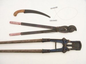 Dehorning tools