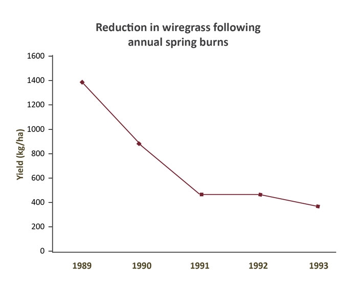 Chart illustrating the reduction in wiregrass following annual spring burns