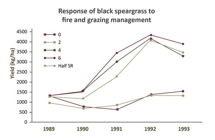 Graph showing response of black speargrass to different fire and grazing management treatments..