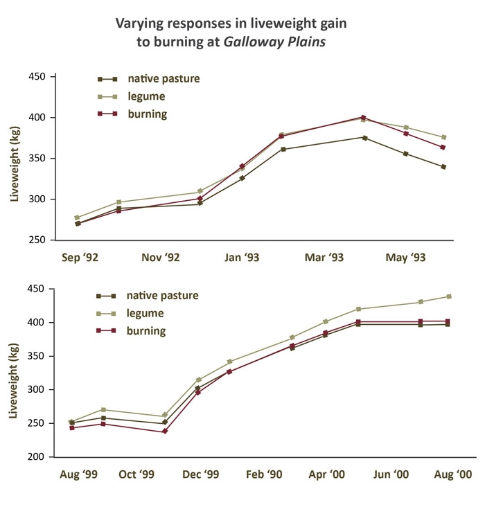 Graph of the varying responses in liveweight gain to burning at 'Galloway Plains'.