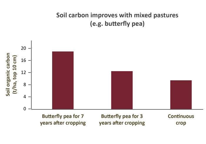 A graph illustrating how soil carbon improved under mixed pastures.