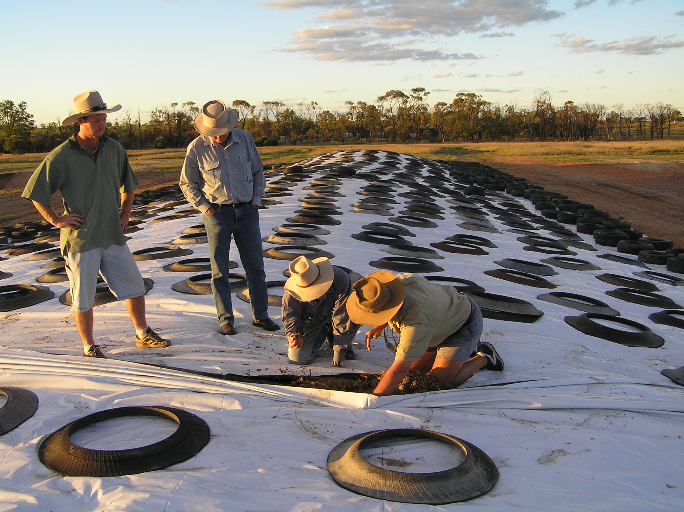 Stored silage