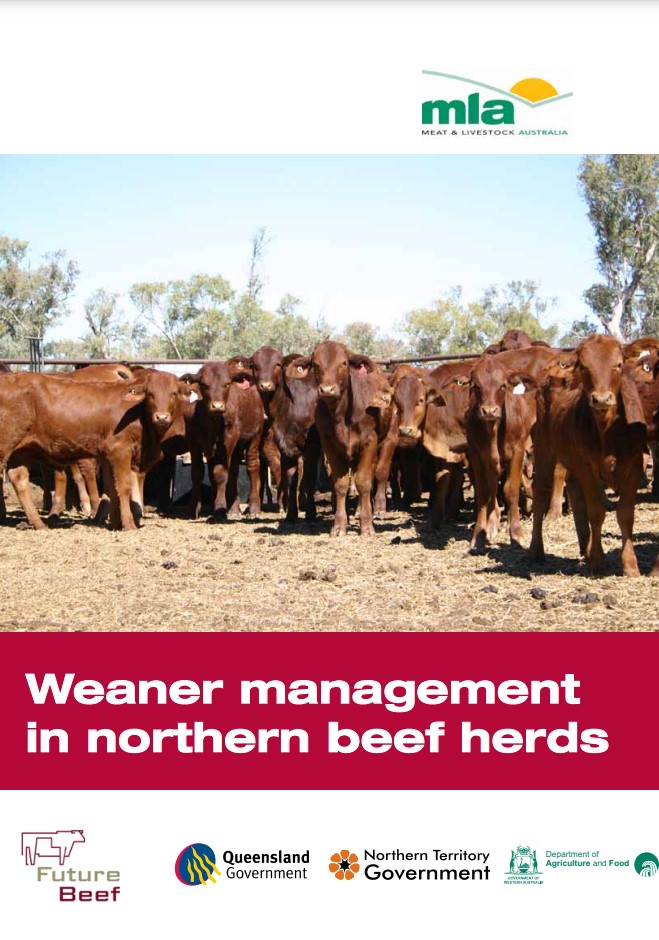 Weaner management in northern beef herds publication from Meat & Livestock Australia