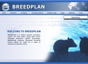 breedplan website front page