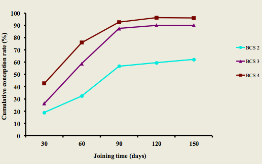 Figure 2 conception rates.