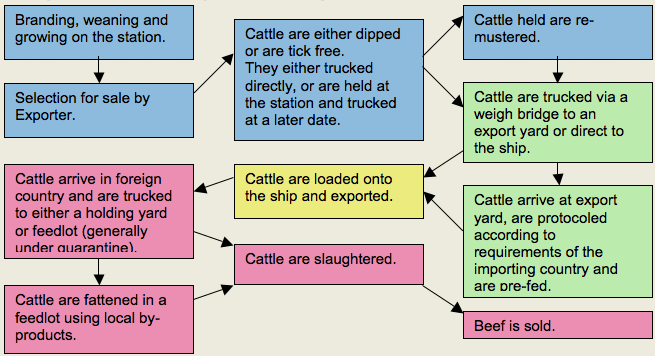 Live export beef