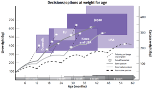 A graph with liveweight on y-axis, age on x-axis, and carcase weight on the other y-axis with major slaughter market requirements shaded and typical cattle growth pathways plotted across these.