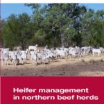 Front cover of the 'Heifer management in northern beef herds' manual