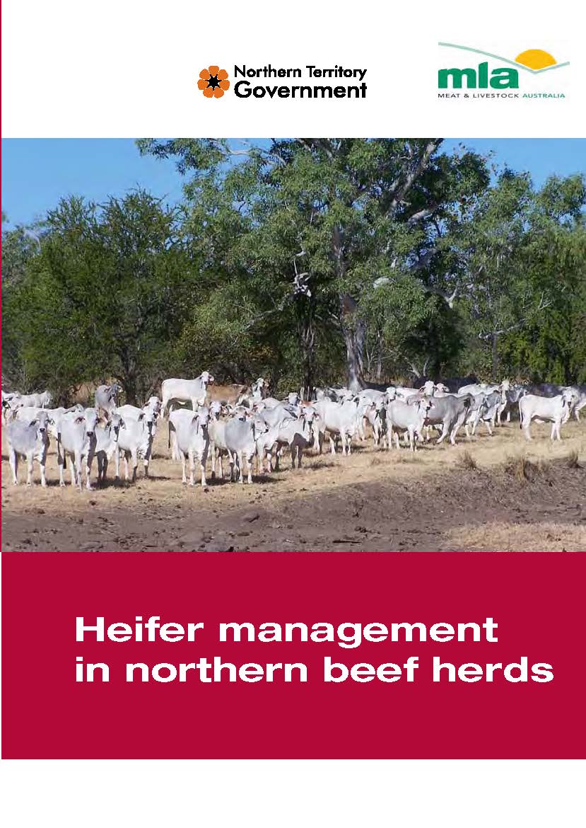 Front cover of the 'Heifer management in northern beef herds' manual