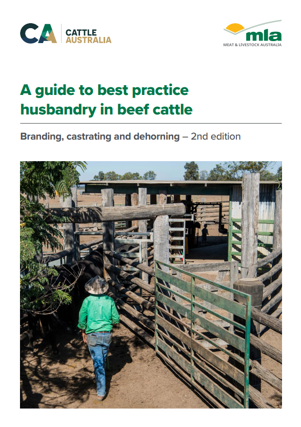 The cover page of A guide to best practice husbandry in beef cattle: branding, castrating and dehorning - 2nd edition.