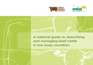 The front cover of the 'A national guide to describing and managing beef cattle in low body condition.'