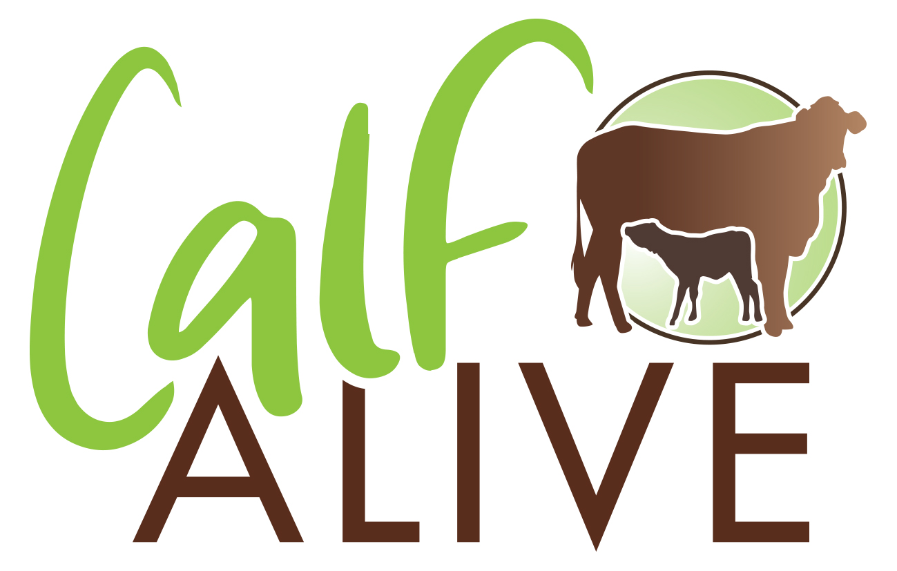 Calf Alive symposium presentations FutureBeef