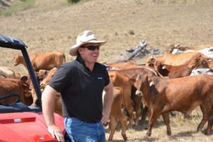 BMP graduate, Matt Vince happily observing his steer mob