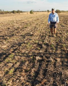 Medium 5 month fallow plot where probe was pushed into soil approx. 50 cm