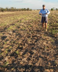 No fallow plot. Probe was unable to be pushed into the soil.