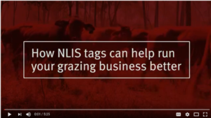 The new video produced by DAF beef extension officers captures how to make the most of the NLIS system for the benefit of informed decision making.