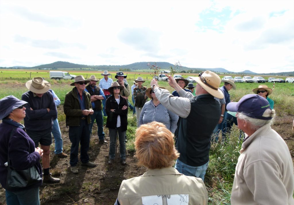 Principle pasture agronomist, Gavin Peck explains a few identifying features of varieties growing in the pasture legume persistence trial near Allora.