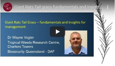 Vogler Sporobolus webinar thumbnail
