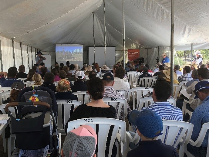 Many people in a marquee watch a presentation on a portable projection screen as the property owner provides an overview of using walk over weigh technology in western Queensland.