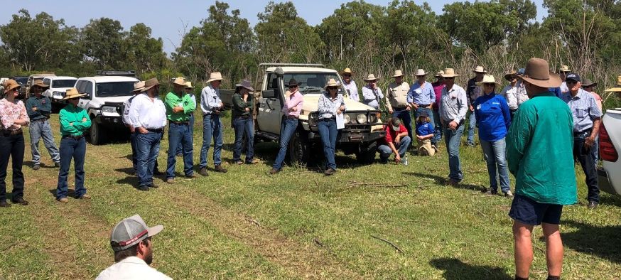 approximately 50 men and women in hats, boots and jeans stand in a semi circle as a beef producer presents his experiences with growing leucaena.