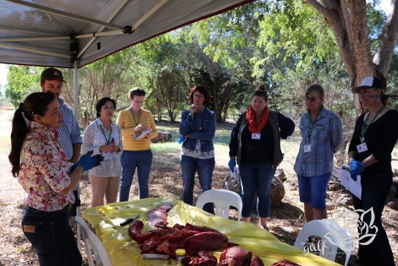 Women watch as a member of Biosecurity Queensland demonstrates what to organs to collect for a post mortem to be collected on a dead animal.