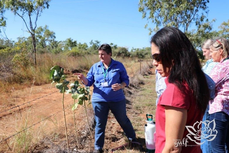 Rubber bush in a fenceline with women looking on at an event funded by the Drought and Climate Adaptation Program. DCAP