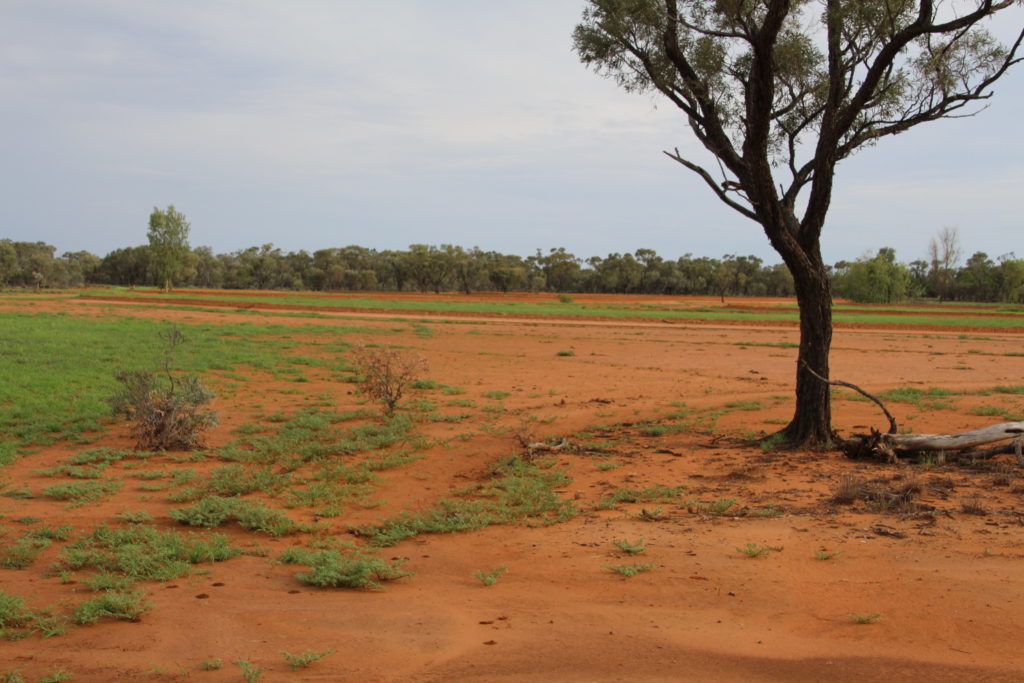 End result of water ponding