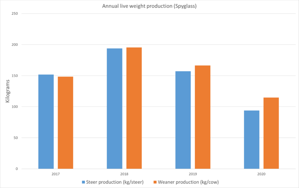 Achievable cow productivity - FutureBeef