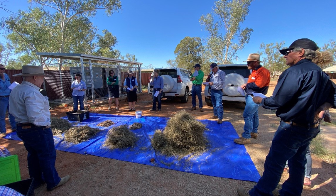 Mulga Lands workshop