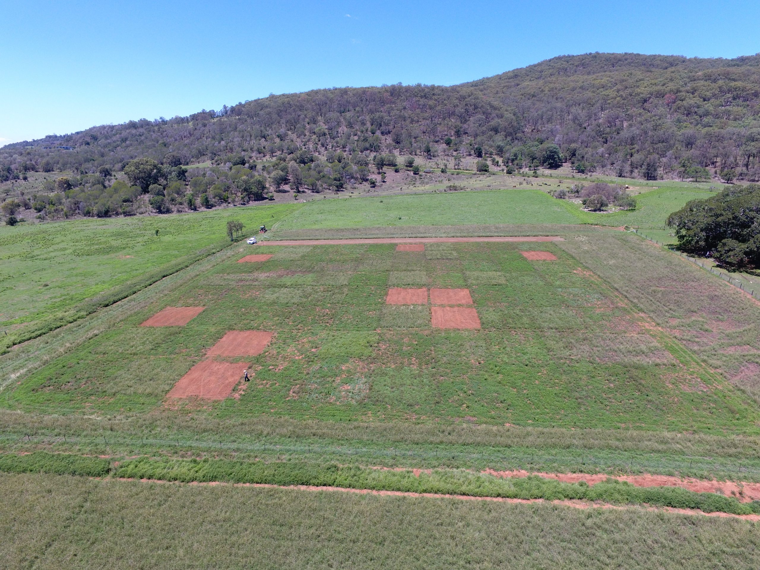 Research trial at Boonah