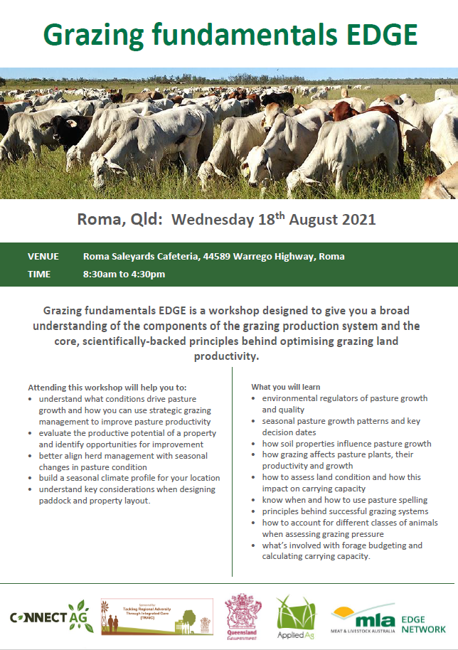 Grazing fundamentals EDGE Roma