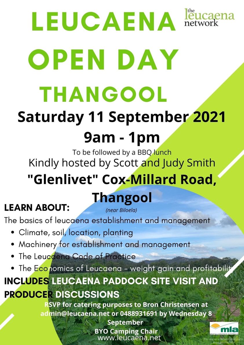 Leucaena Open Day Thangool 