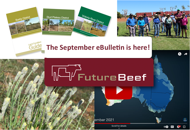 September eBulletin