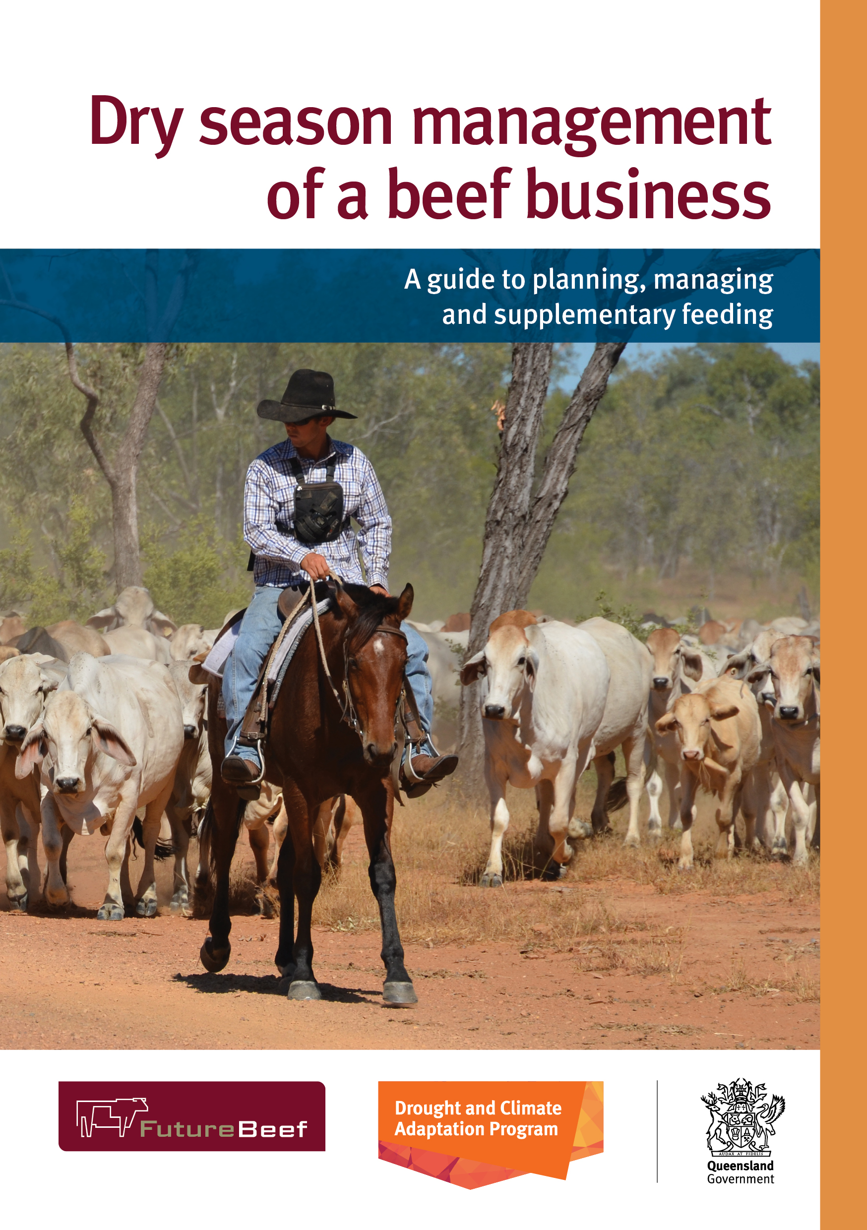 Dry season management of a beef business