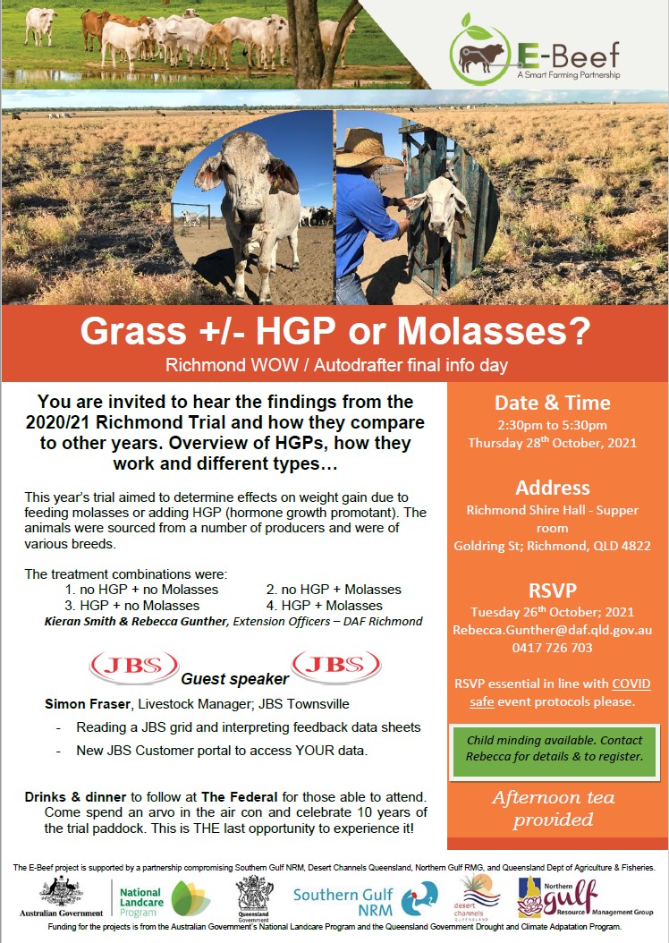 Grass HGP or molasses