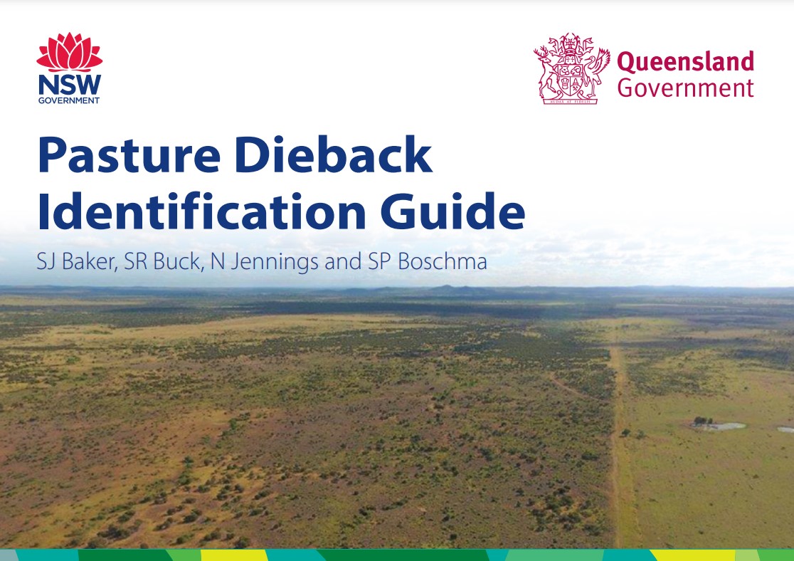 Pasture dieback identification guide