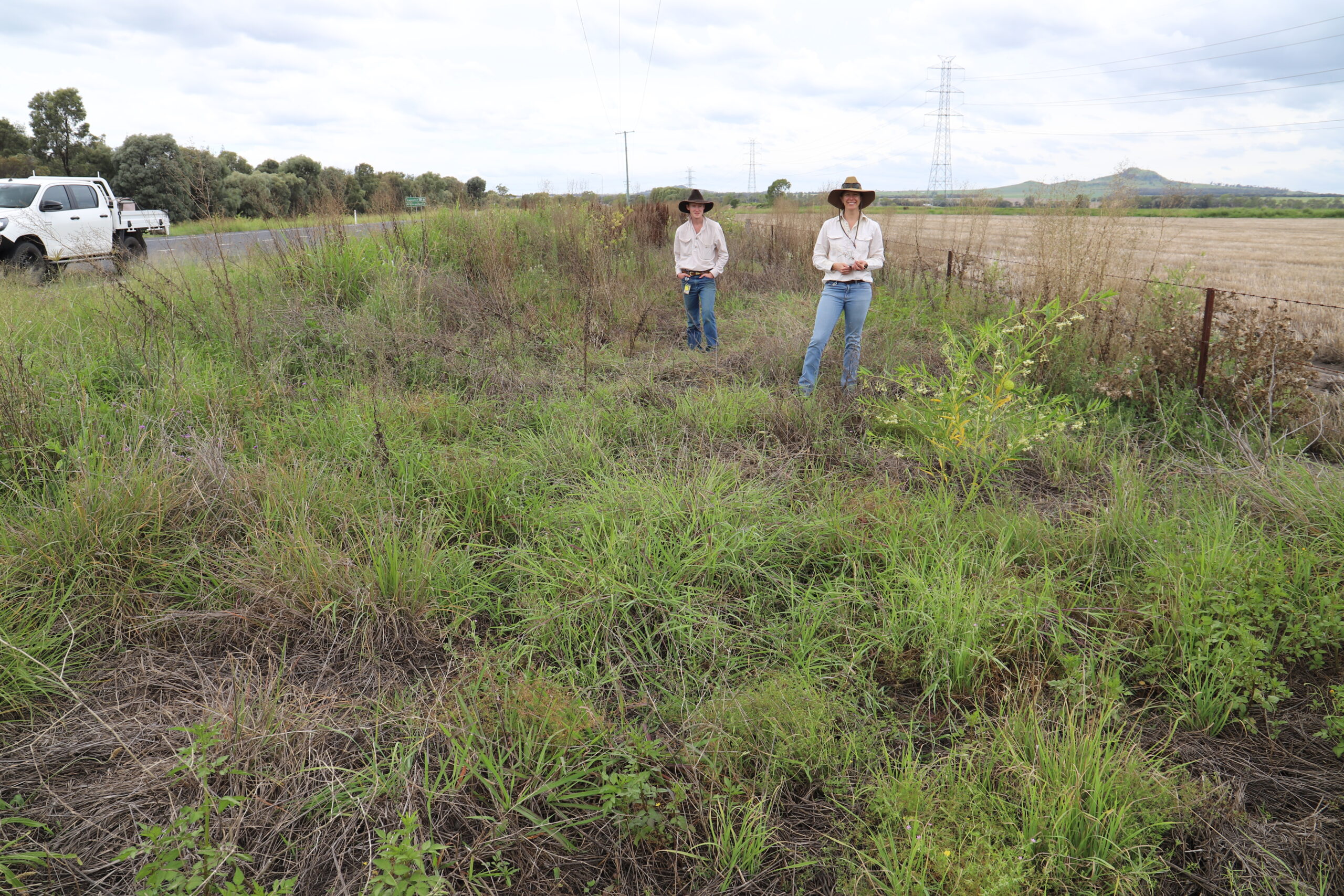 Two people in broad brimmed hats standing in a pasture dieback impacted pasture