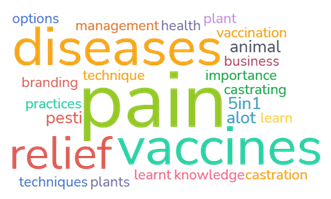 Collection of takeaway messages - diseases, pain relief, vaccines