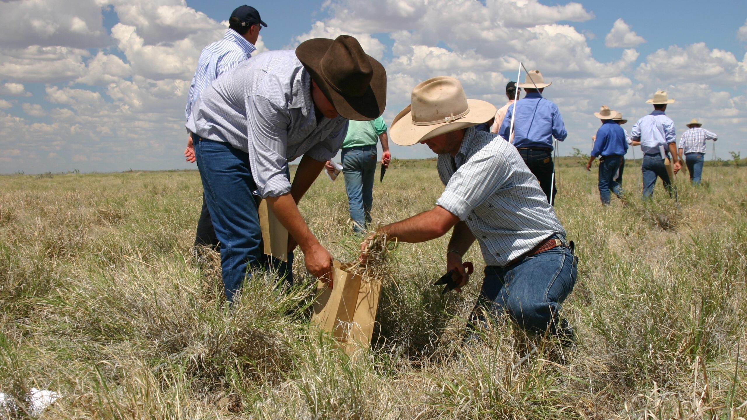 Pasture budgeting