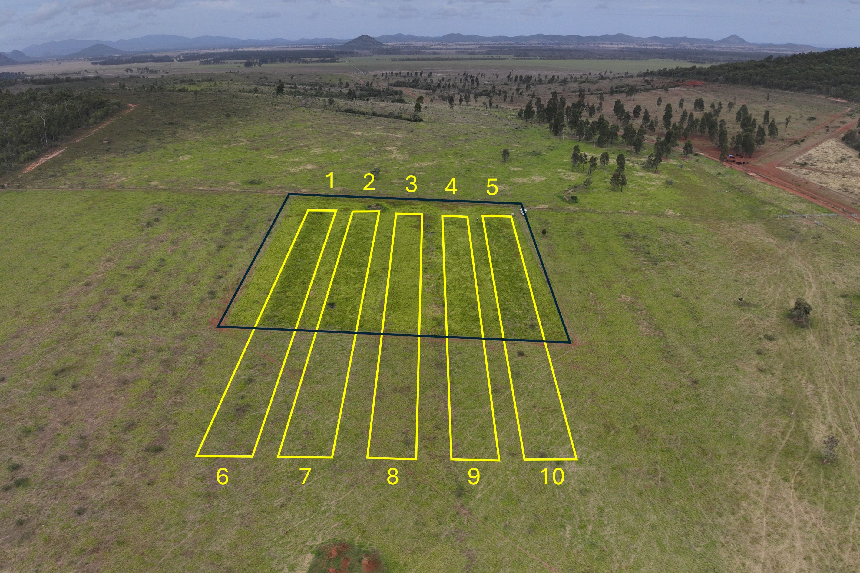Drone photo of a paddock showing dark green strips where fertiliser has been applied.