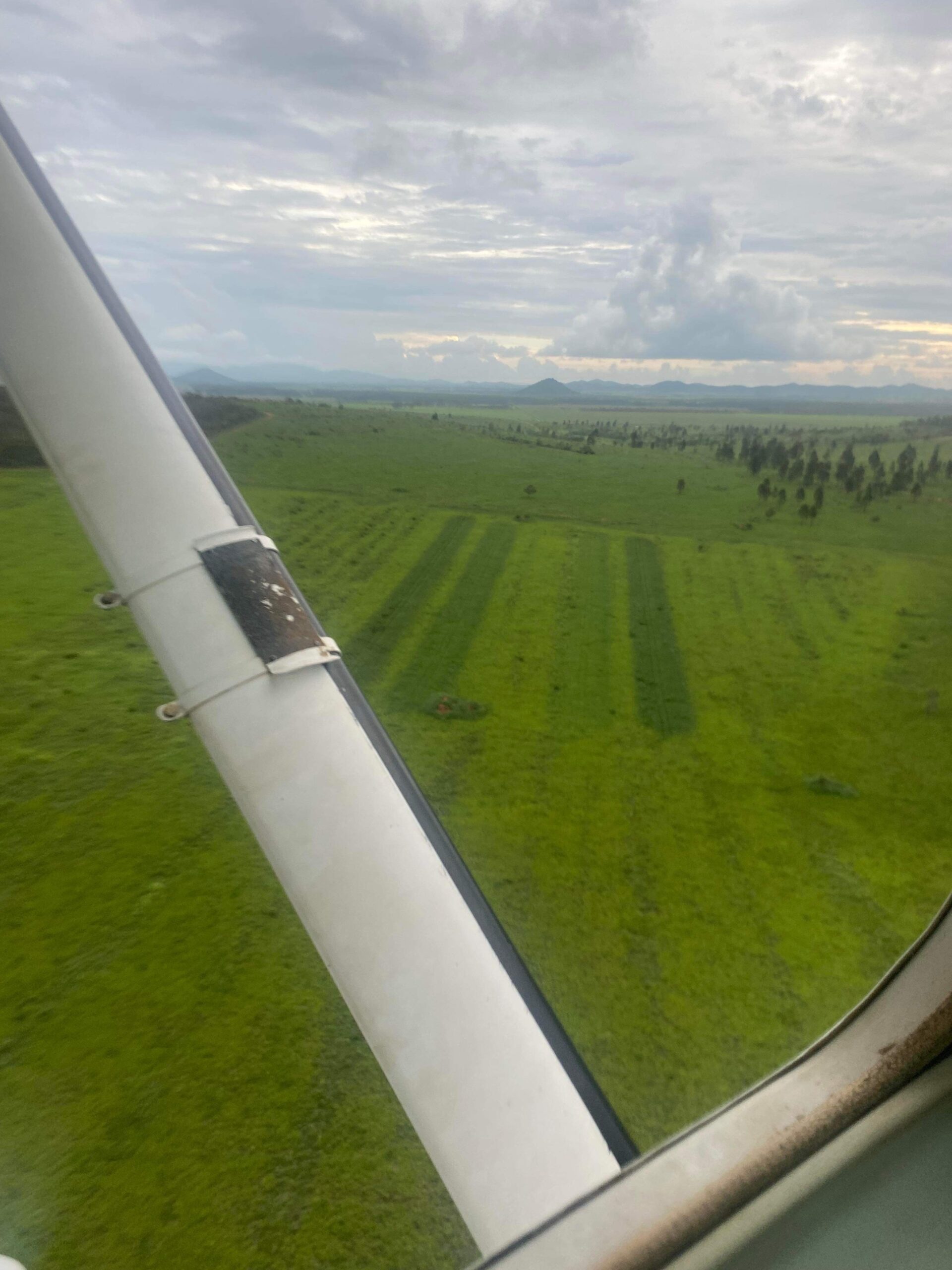 Photo of green grass taken out of the window of a small plane.