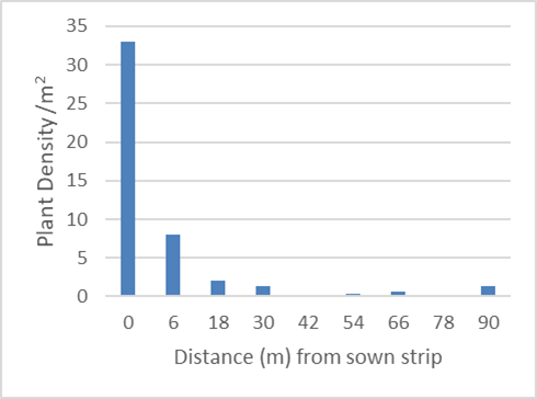 Desmanthus plant density is as much as 30-35 plants per m2 in the sown strip, however decreases drastically to approximately 7-8 plants per m2 as soon as 6m from the sown strip.