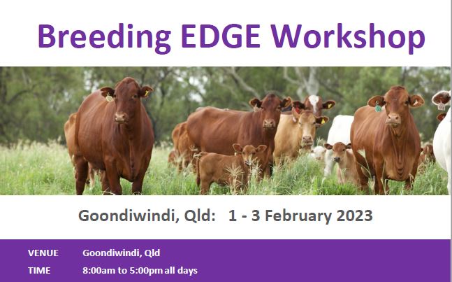 Breeding EDGE Goondiwindi