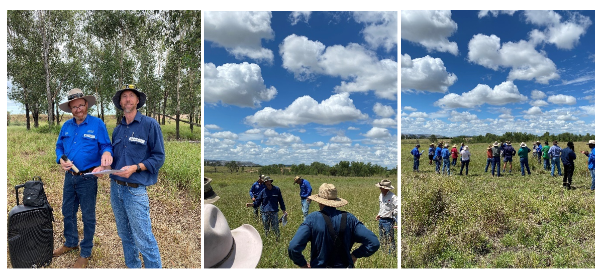 Two pasture agronomists shown giving presentations at a pasture dieback trial site.
