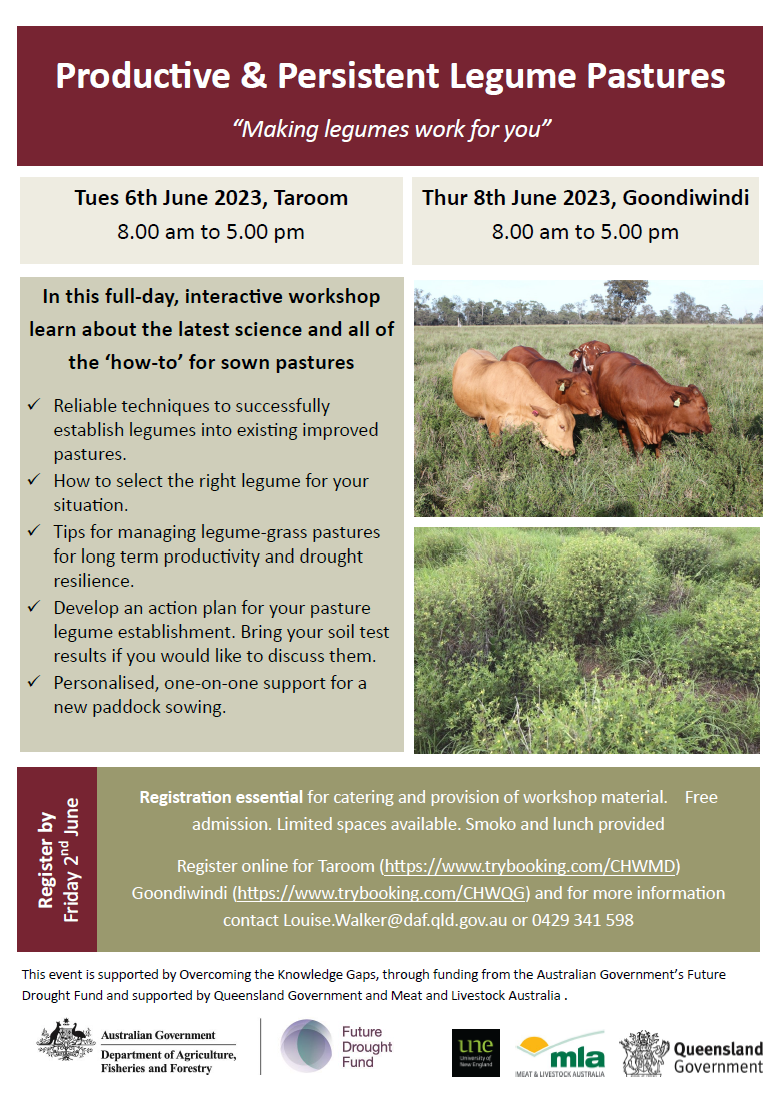 Productive and persistent legume pastures