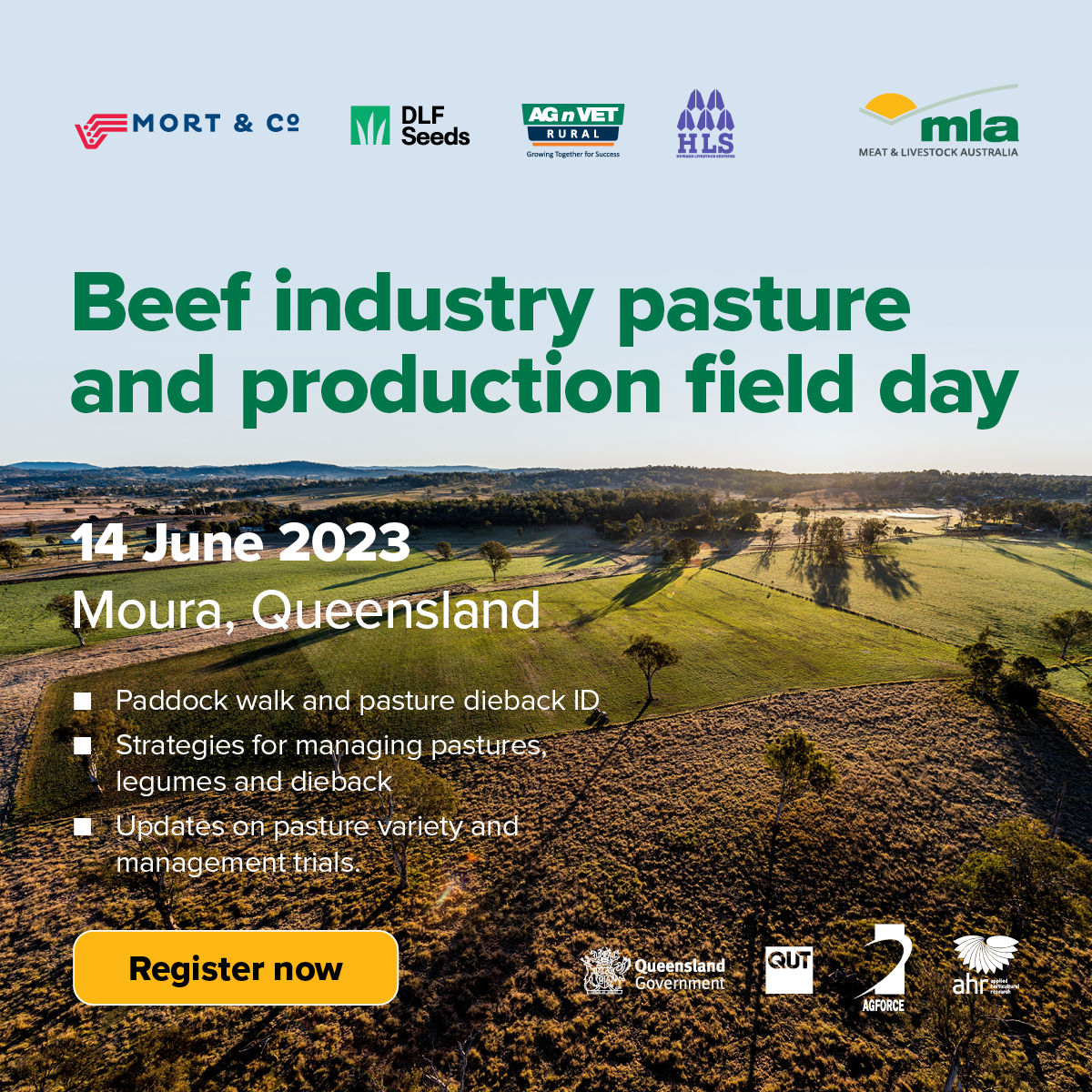 Beef industry pasture and production field day Moura