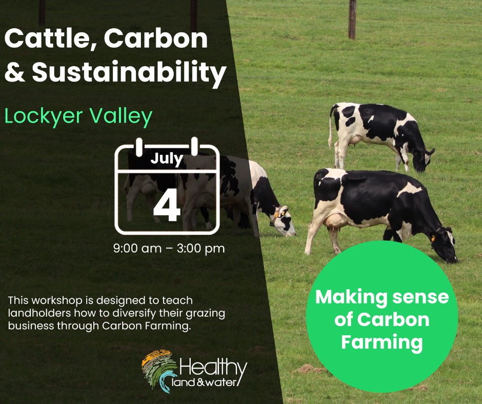 cattle, carbon and sustainability gatton