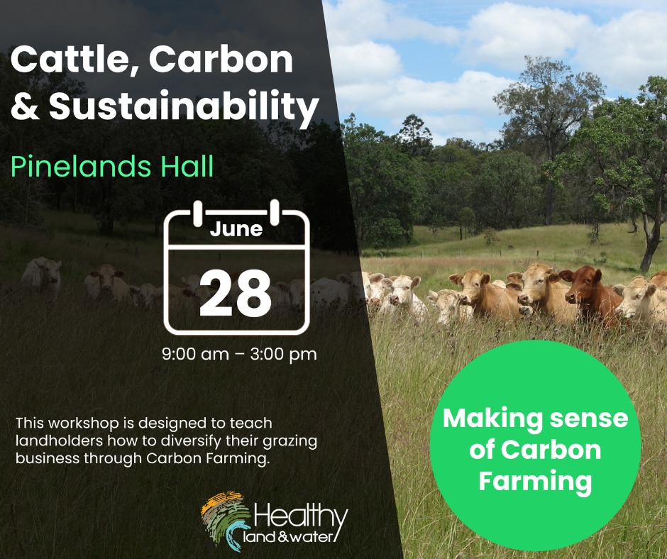 Cattle, carbon and sustainability, Crows Nest