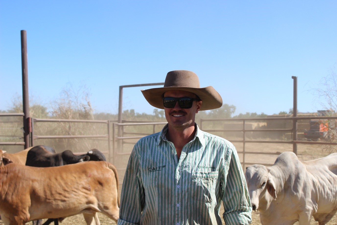 Will Shannon, Argyle Downs, Are your heifers phosphorus deficient?